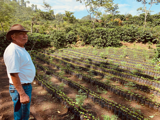 Koffieboer in Guatemala - Undiscovered.nl