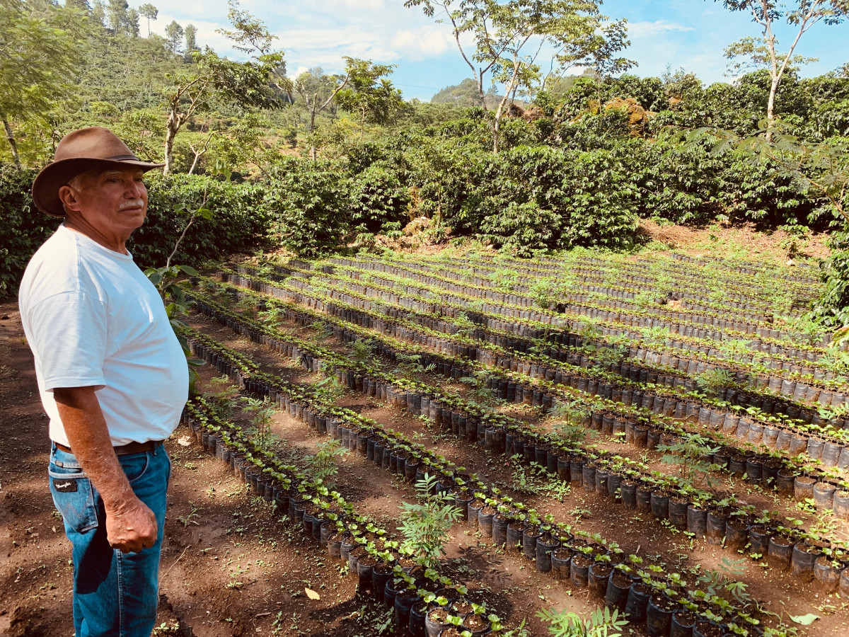 Koffieboer in Guatemala - Undiscovered.nl