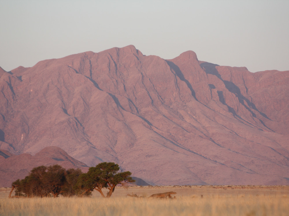 Uitzicht rode zandgebergtes, Namibië - Undiscovered.nl