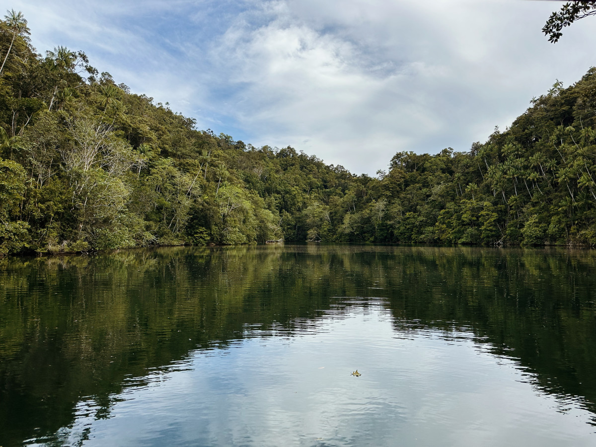 Jellyfish Lake, Triton Bay, Oost-Indonesië - Undiscovered.nl