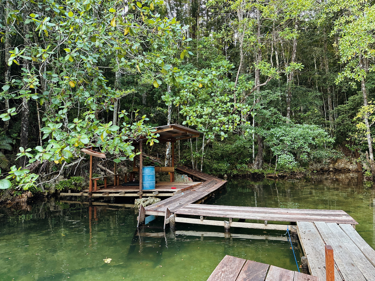 Jellyfish Lake, Triton Bay, Oost-Indonesië - Undiscovered.nl
