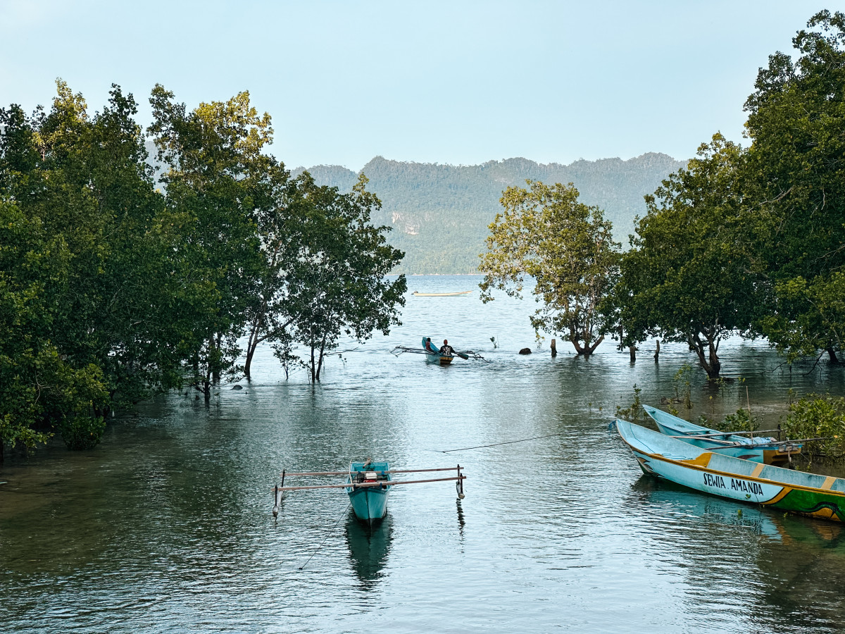Lokaal dorp bij Kaimana, Oost-Indonesië - Undiscovered.nl