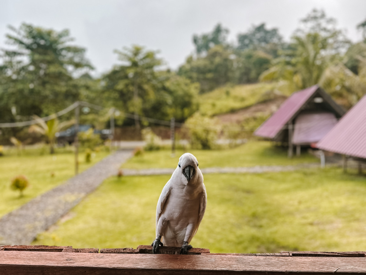 Malasigi, West-Papoea - Undiscovered.nl