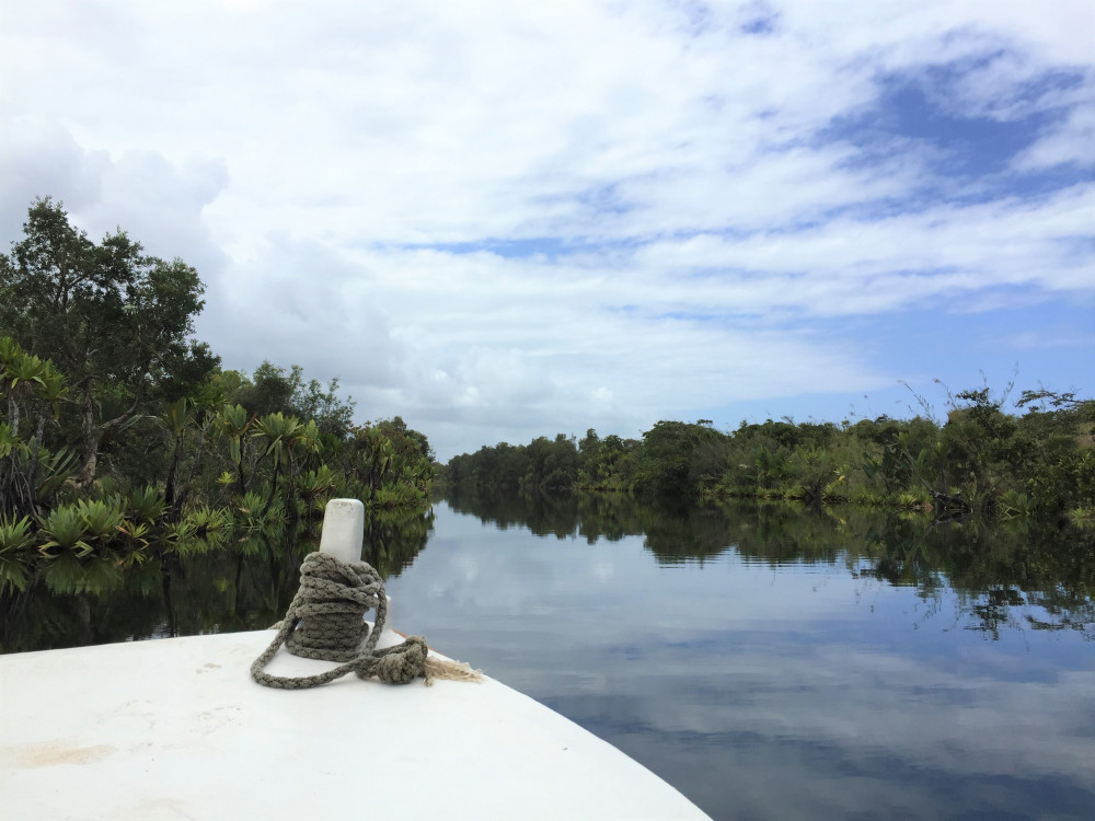 Boottocht door Ankanin'ny Nofy, Madagascar - Undiscovered.nl