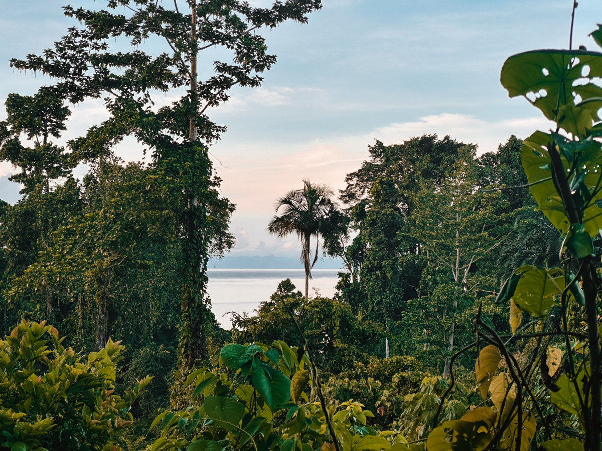 Waigeo Island, Raja Ampat, Oost-Indonesië - Undiscovered.nl
