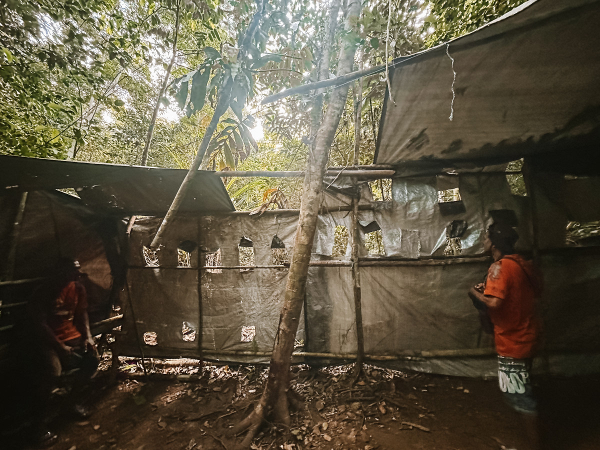 Vogelspotten op Waigeo Island, Raja Ampat, Oost-Indonesië - Undiscovered.nl