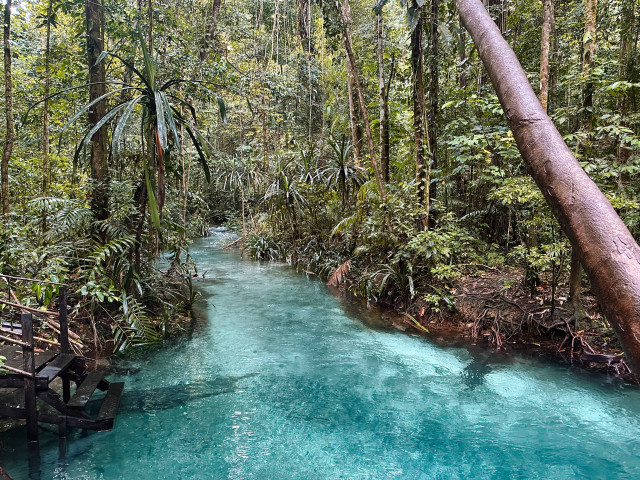 Kali Biru, Raja Ampat, Indonesië - Undiscovered.nl