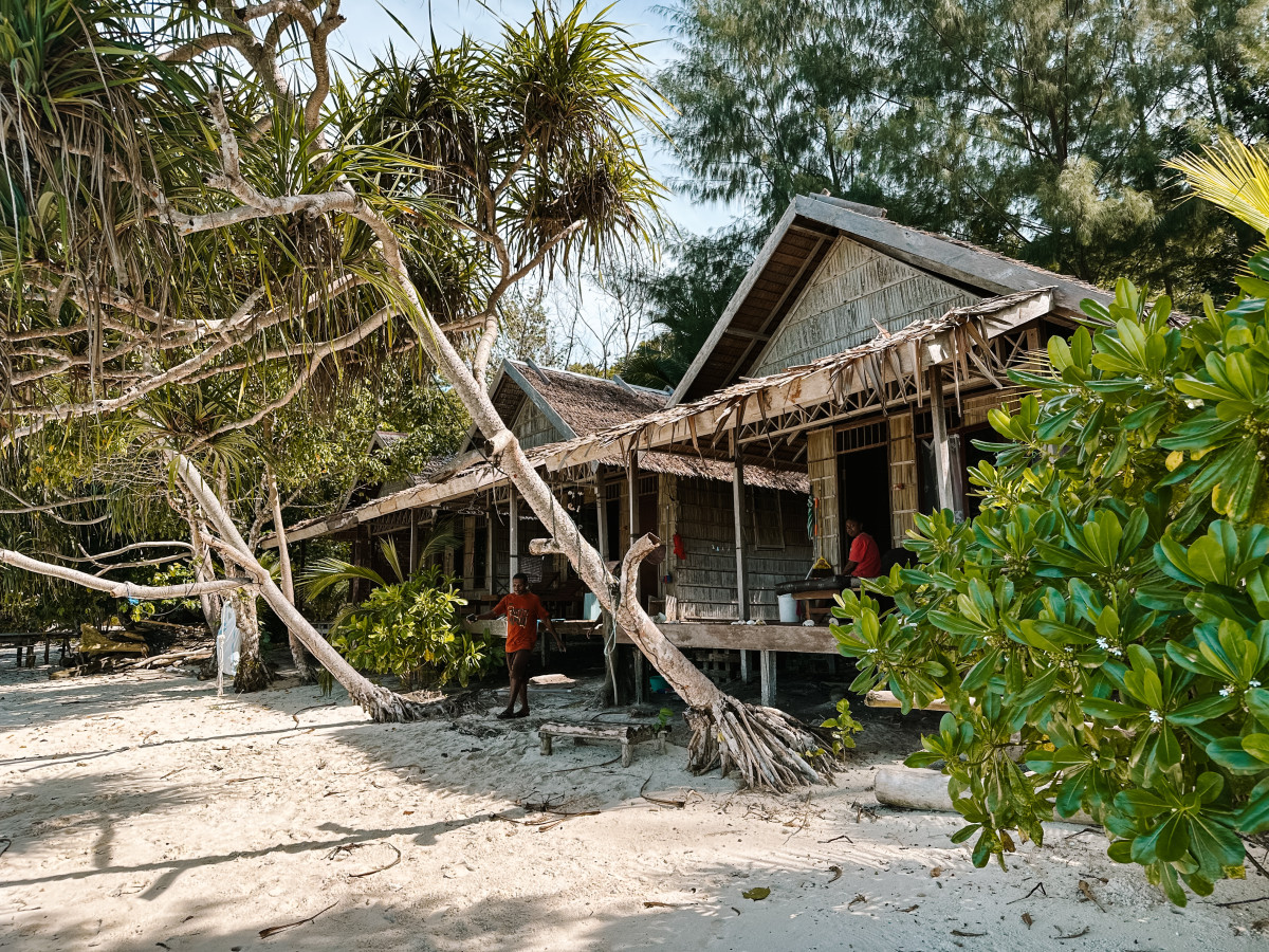 Turtle Dive Homestay, Raja Ampat - Undiscovered.nl