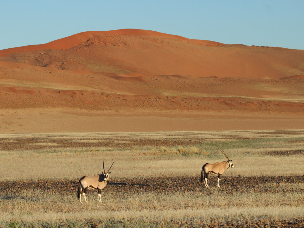 Persoonlijke pagina Anouk - Undiscovered.nl