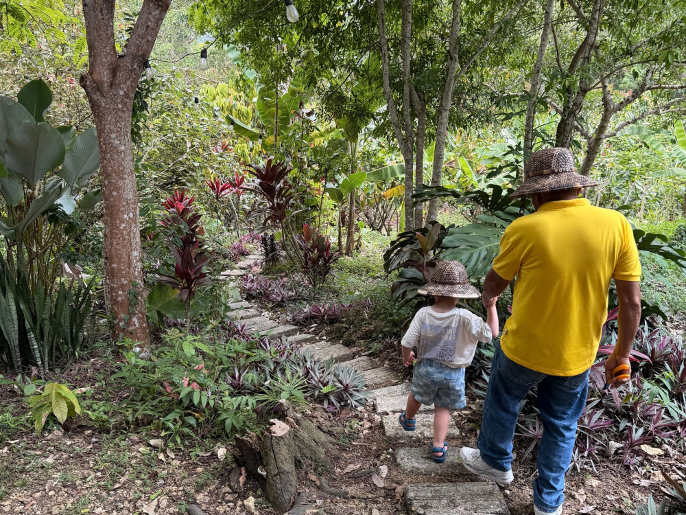 Cacao Farm, Bohol - Filipijnen