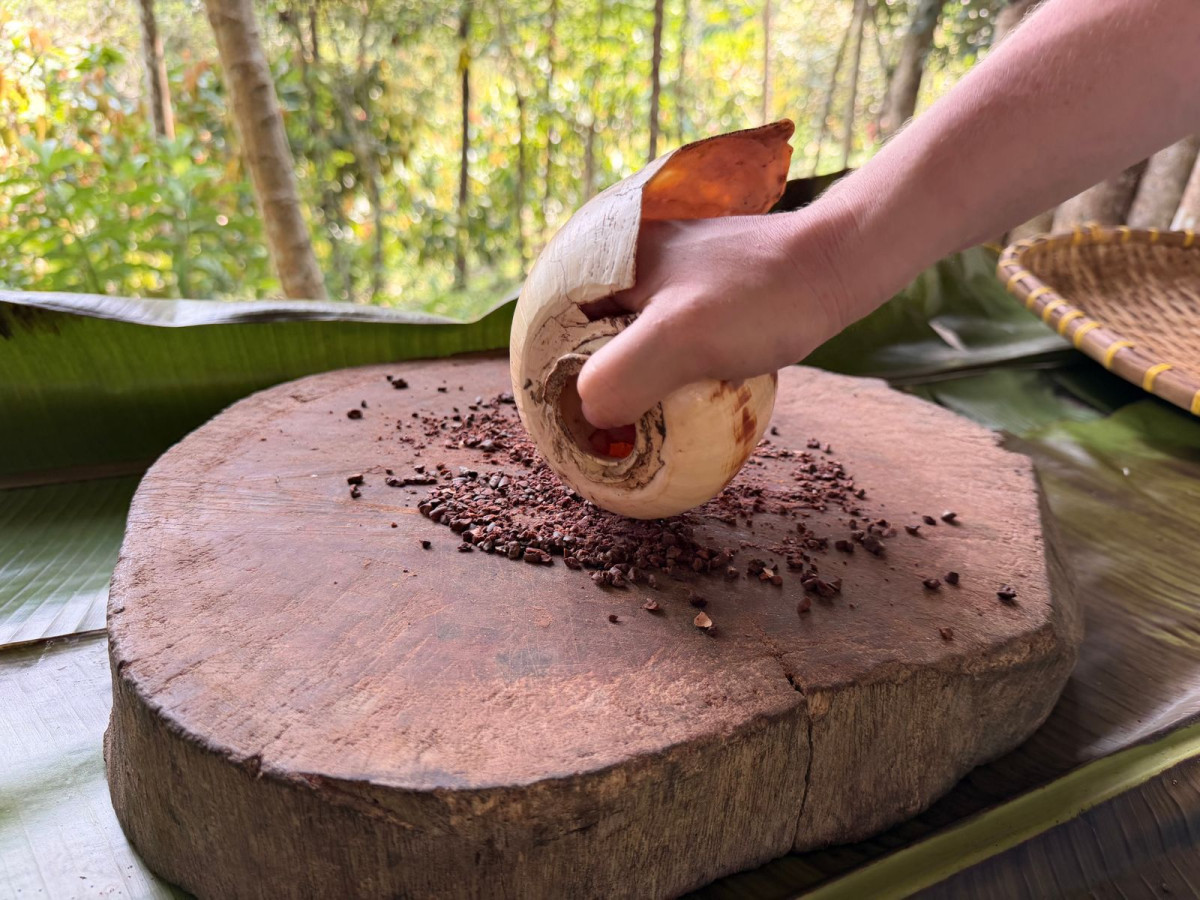 Cacao Farm, Bohol - Filipijnen