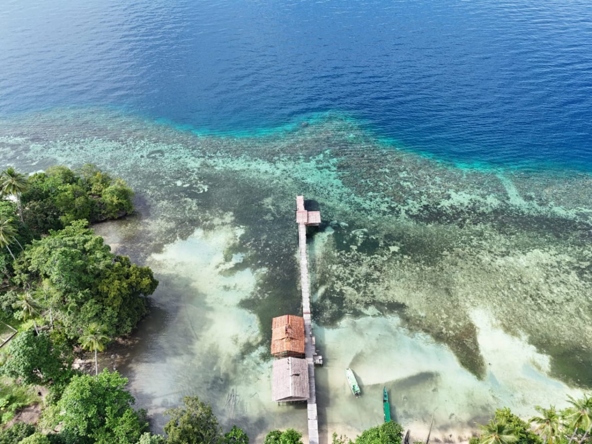 PapuArts Alternative Homestay - Undiscovered.nl