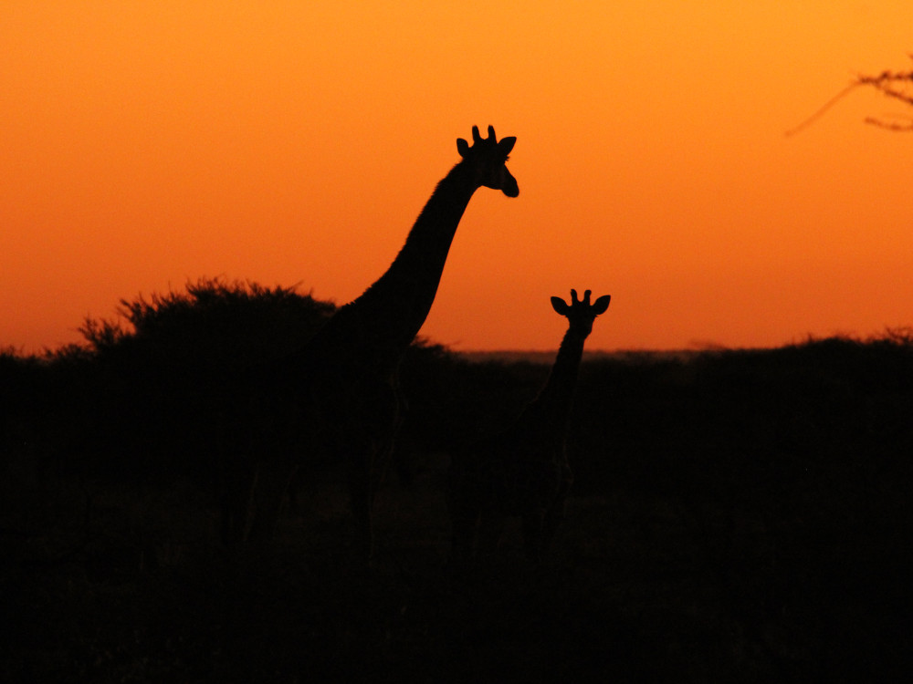 Persoonlijke pagina Anouk - Undiscovered.nl