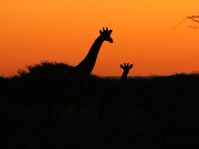 Persoonlijke pagina Anouk - Undiscovered.nl