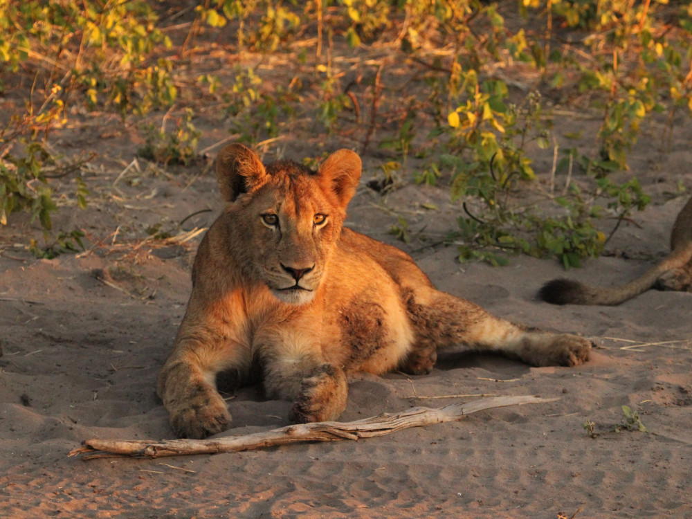 Persoonlijke pagina Anouk - Undiscovered.nl