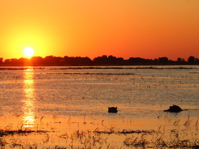 Chobe National Park Botswana - Undiscovered.nl