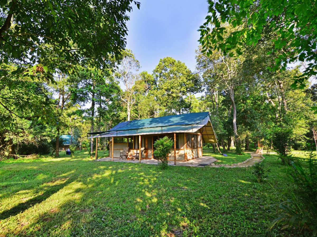 Ishasha Wilderness Camp Queen Elizabeth NP Oeganda - Undiscovered.nl