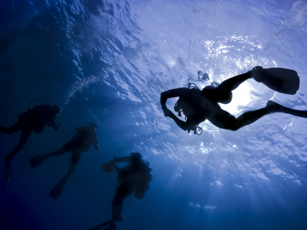 Duiken - Undiscovered.nl