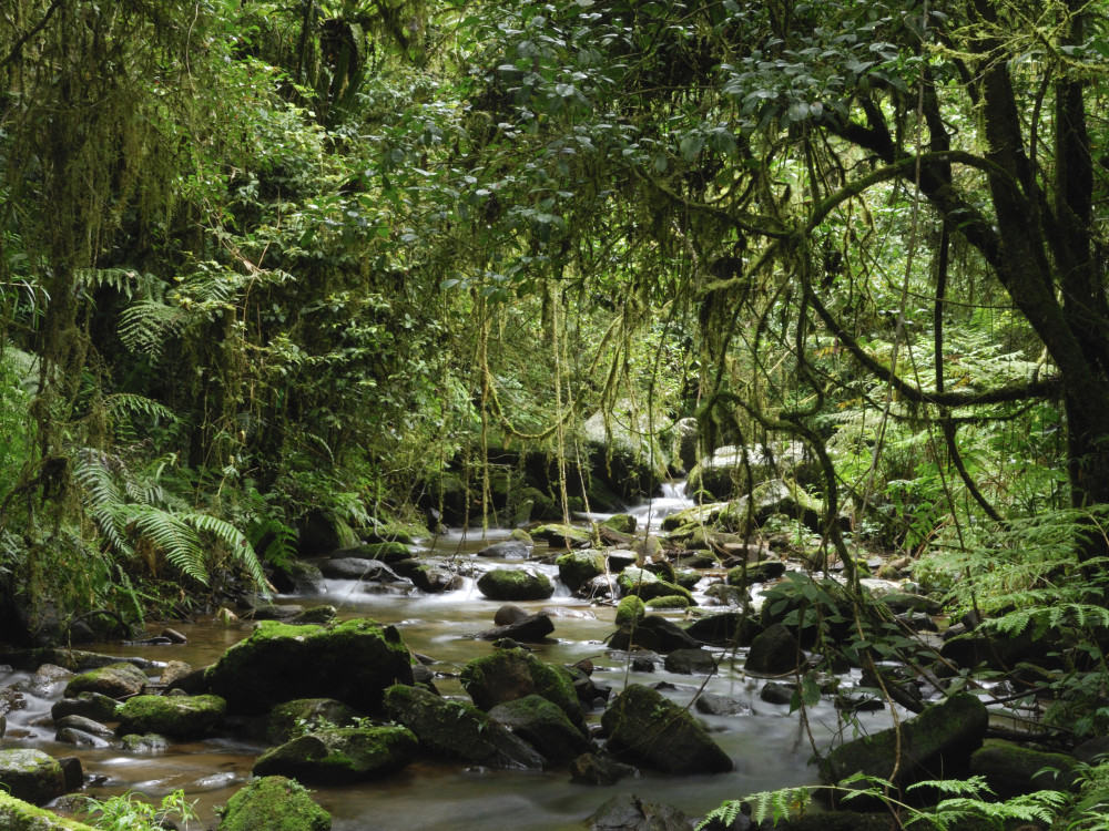 Natuurlandschap in Madagascar - Undiscovered.nl