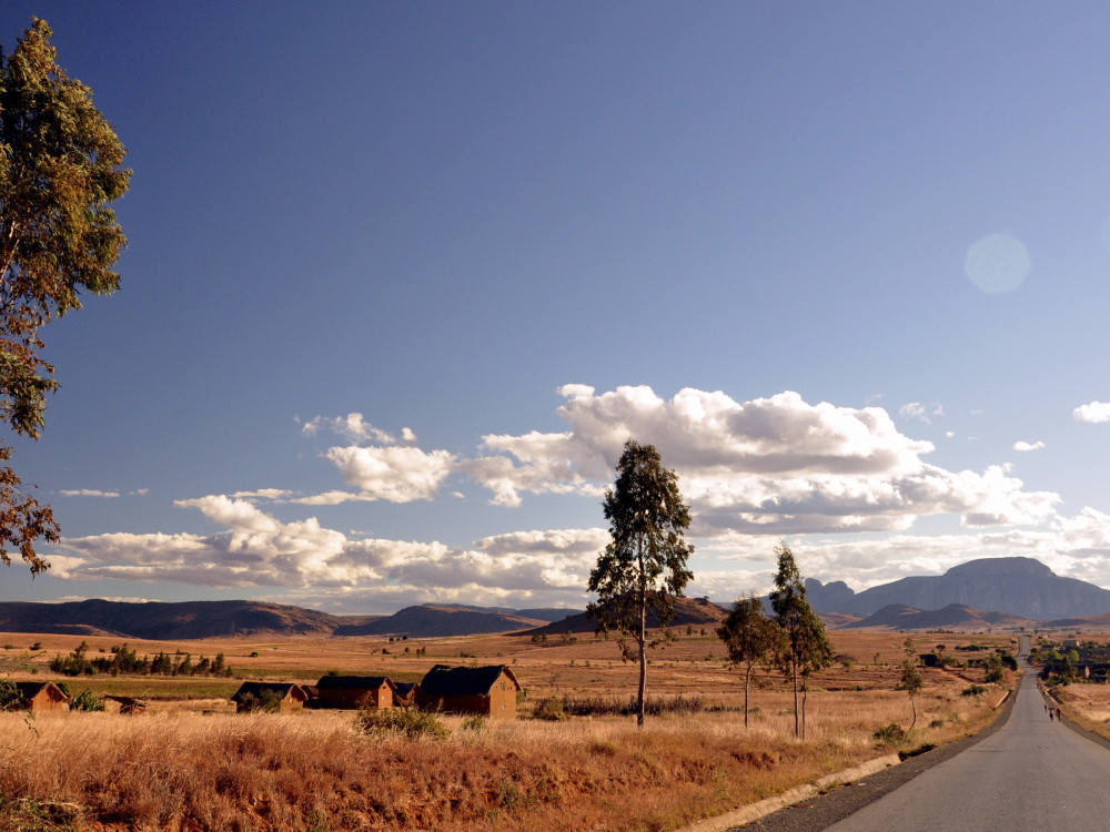 Natuurgebied in Madagascar - Undiscovered.nl