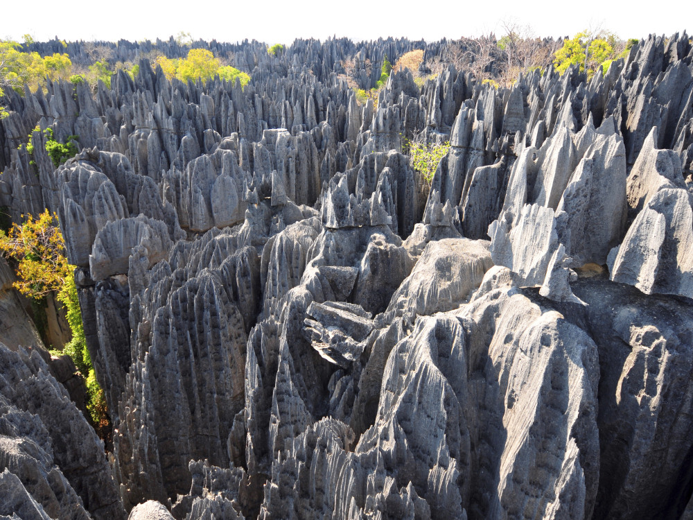 Tsingy de Bemaraha Madagascar - Undiscovered.nl