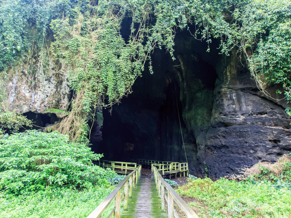 Brug bij de Gomantong Caves, Borneo - Undiscovered.nl