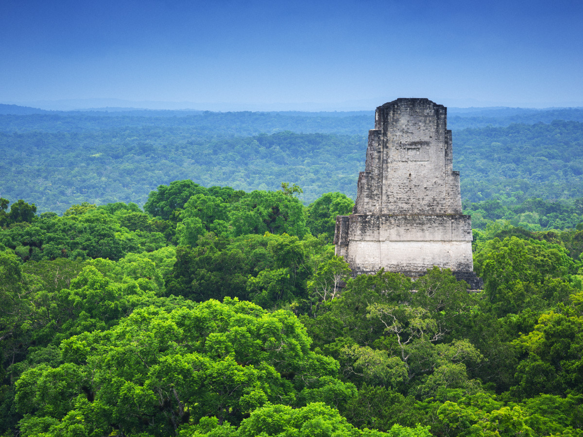 Maya tempels van Tikal, Guatemala - Undiscovered.nl