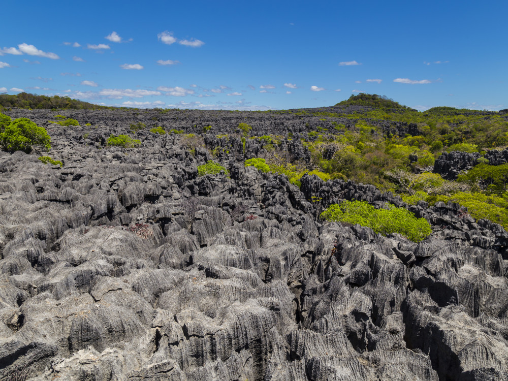 Natuurgebied in Madagascar - Undiscovered.nl
