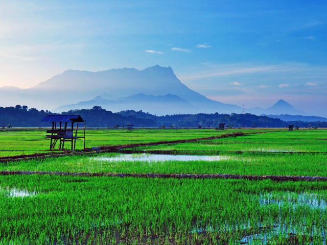 Landschap Borneo - Undiscovered.nl