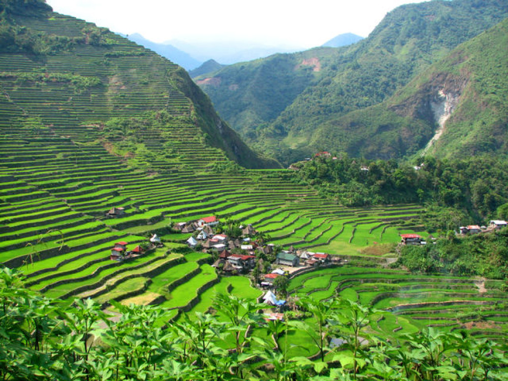 Rijstterrassen Batad/Banaue Luzon - Undiscovered.nl