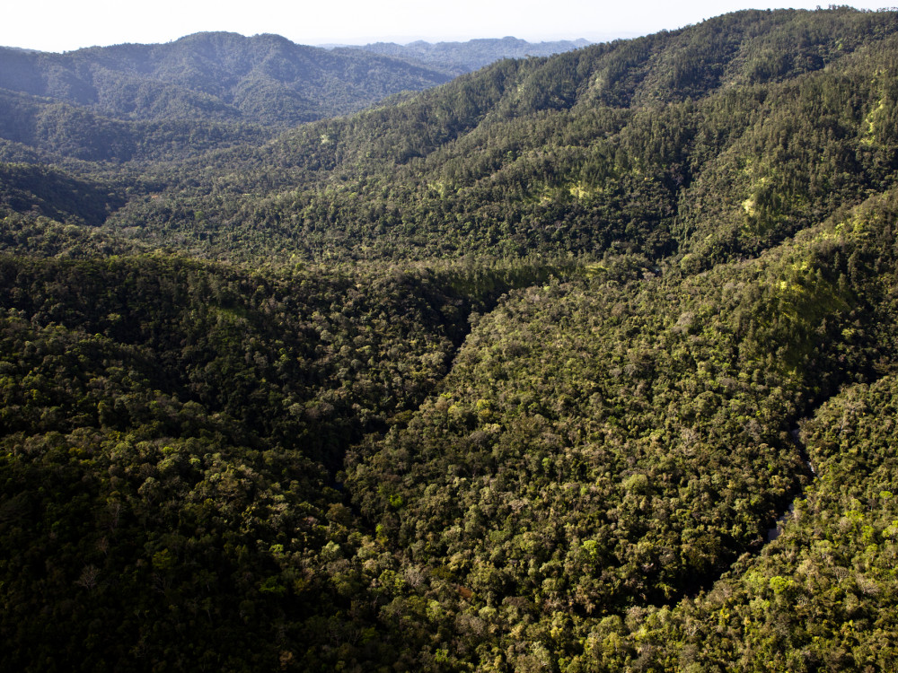 Lamanai, Orange Walk, Belize - Undiscovered.nl