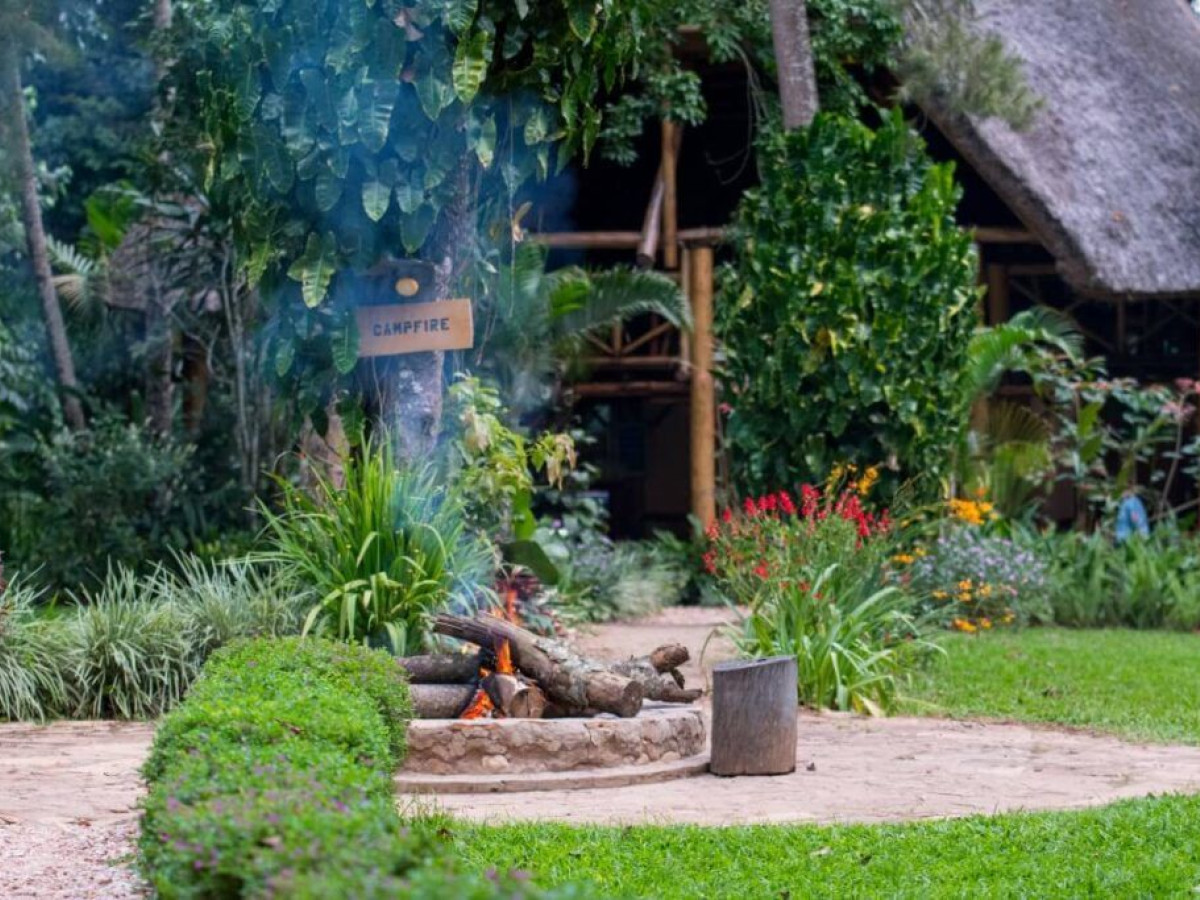 Kibale Forest Camp, Oegana - Undiscovered.nl