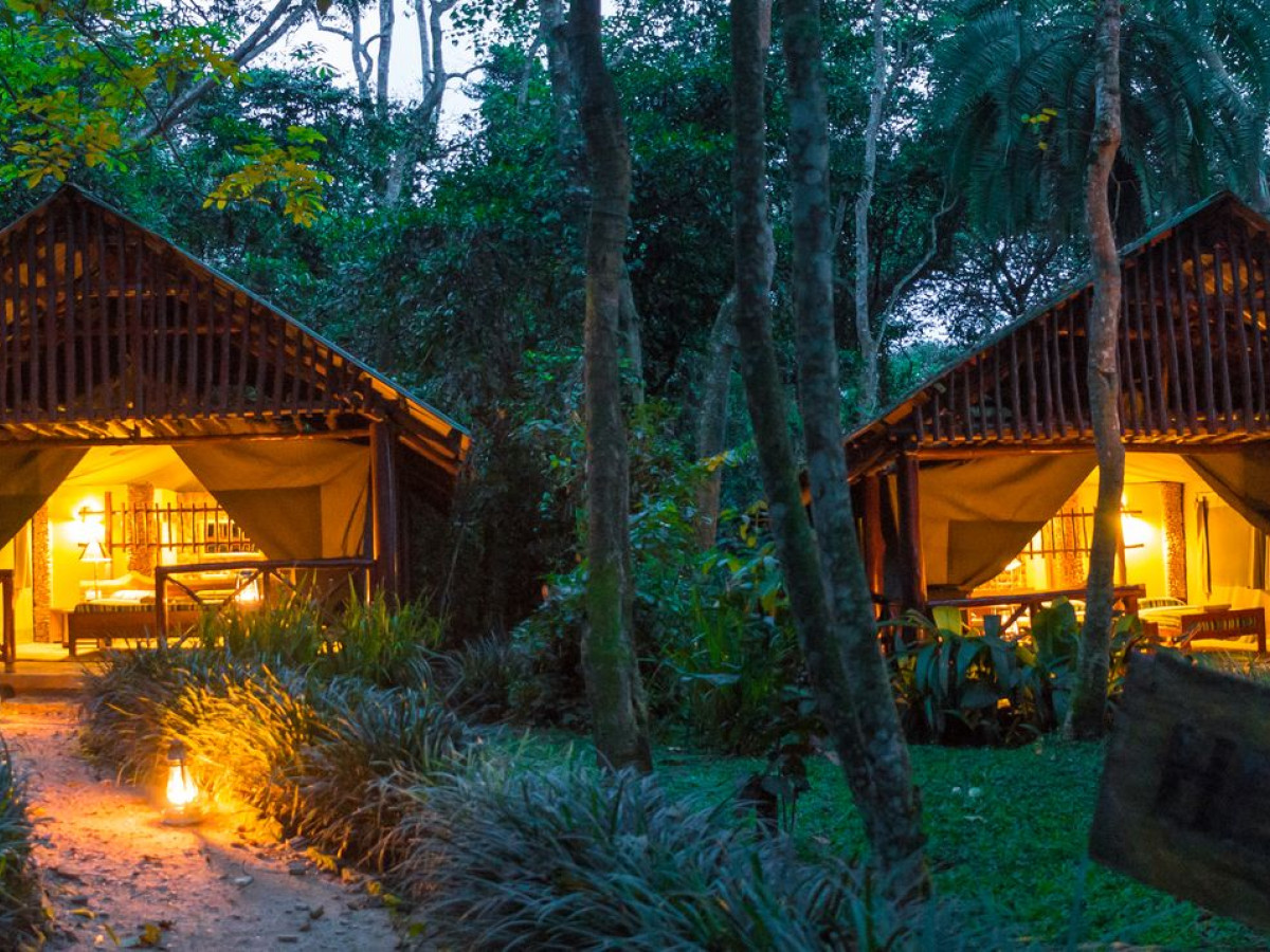 Kibale Forest Camp, Oegana - Undiscovered.nl