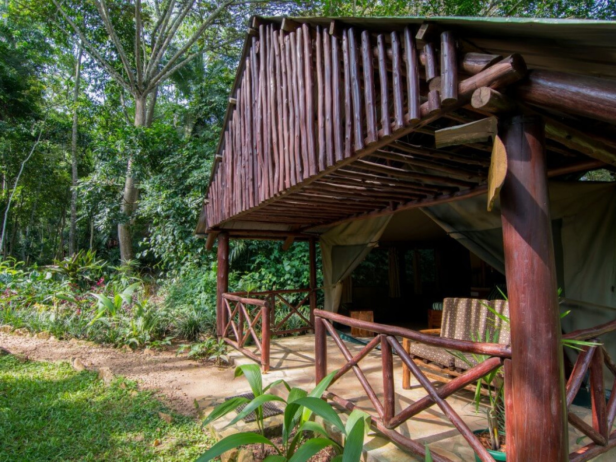 Kibale Forest Camp, Oegana - Undiscovered.nl
