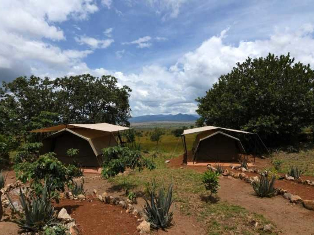 Kidepo Savannah Lodge, Oeganda - Undiscovered.nl