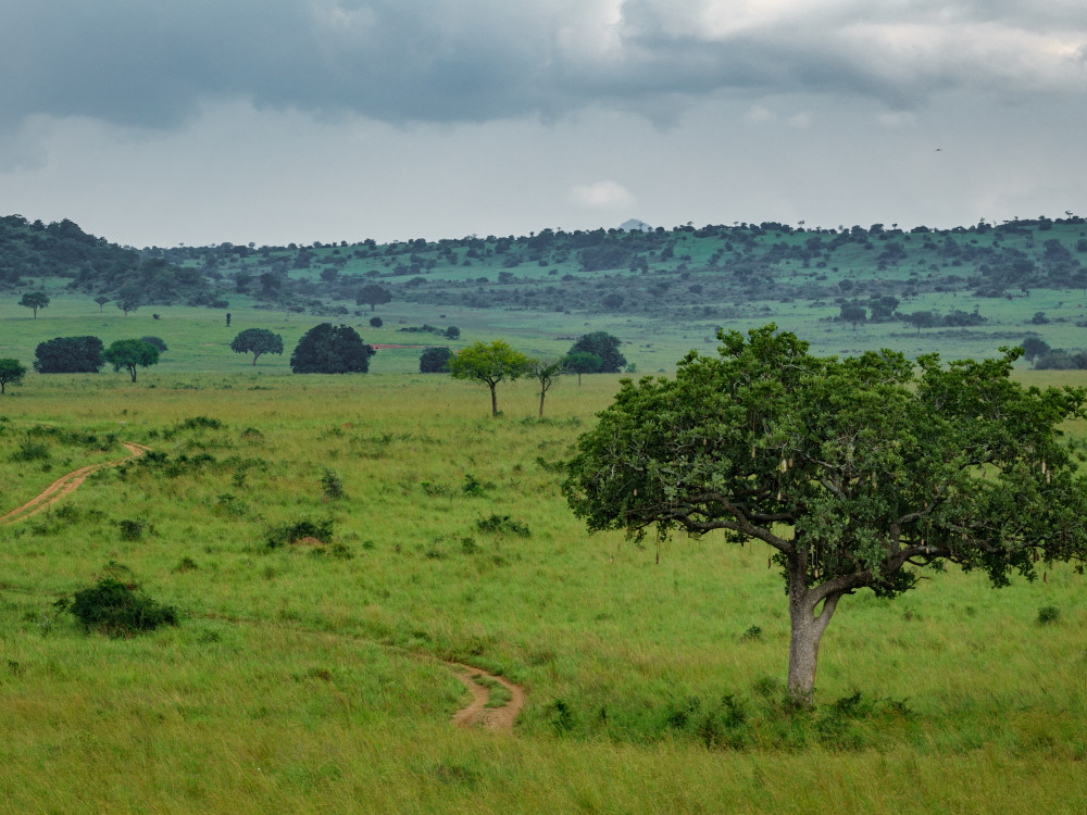 Landschap in Oeganda - Undiscovered.nl