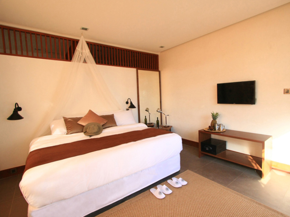 king room funny lion filipijnen - Undiscovered.nl