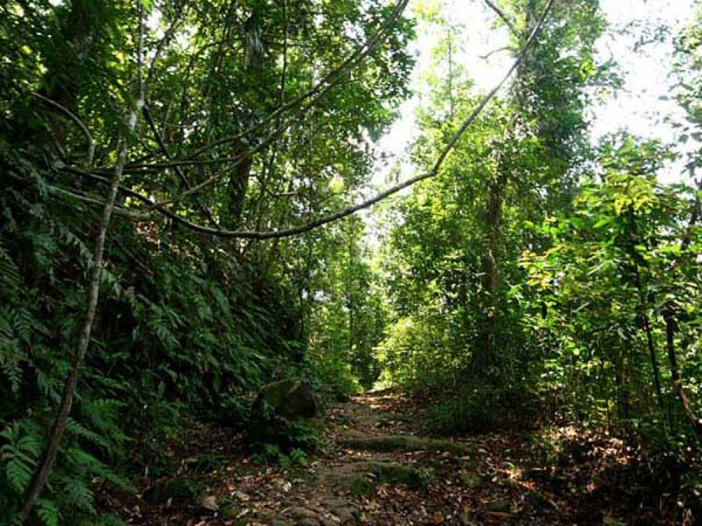 Kitulgala in Sri Lanka - Undiscovered.nl