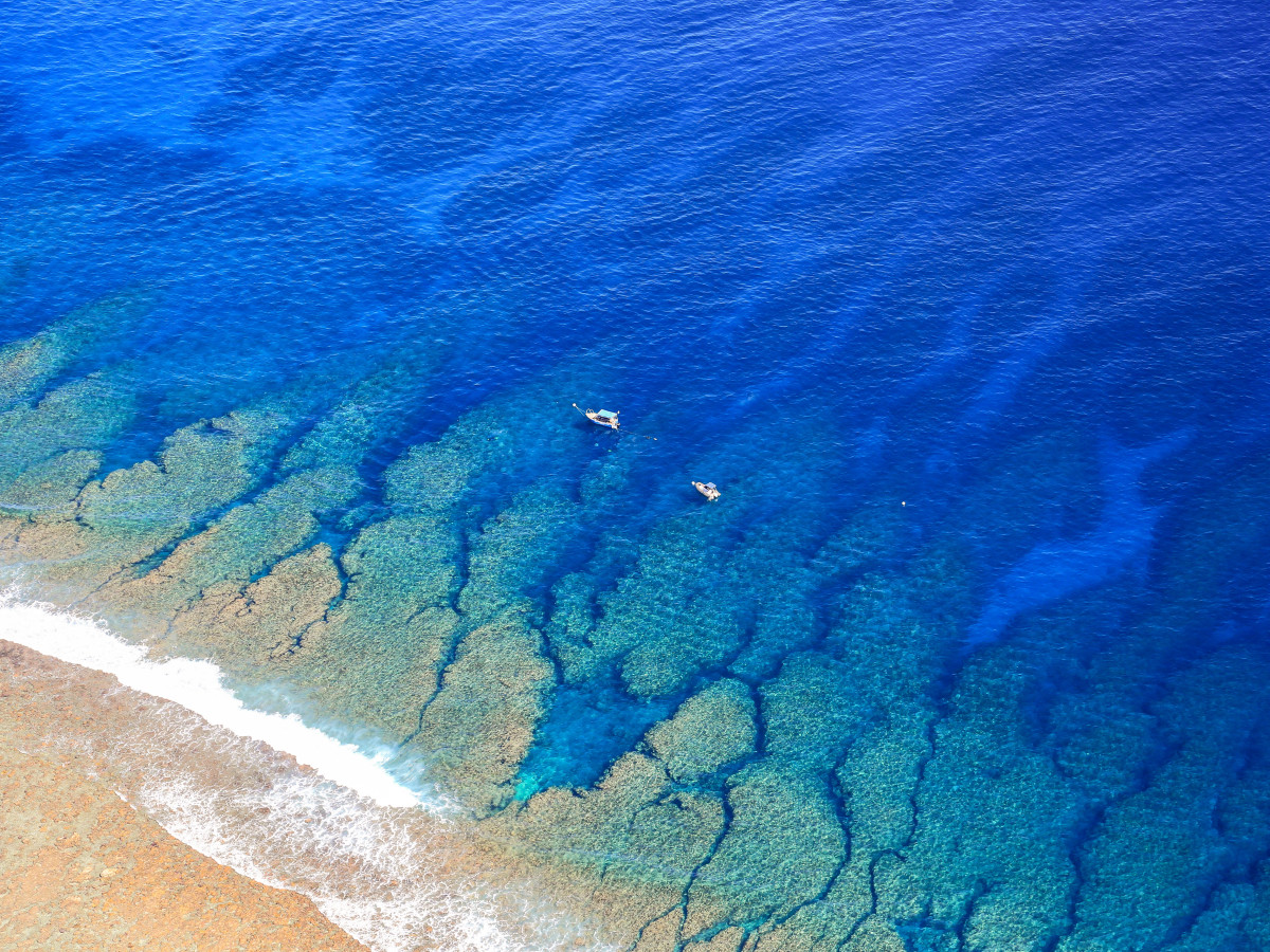 Koraalrif bij Réunion - Undiscovered.nl