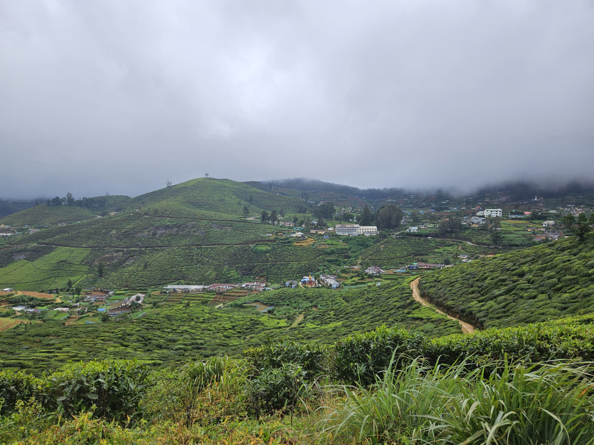 Nuwara Eliya Sri Lanka - Undiscovered.nl