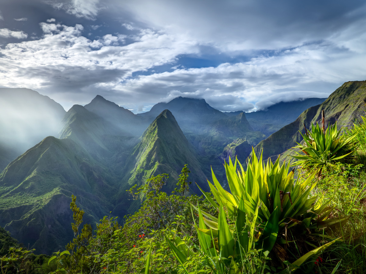 Hoge bergen in Réunion - Undiscovered.nl