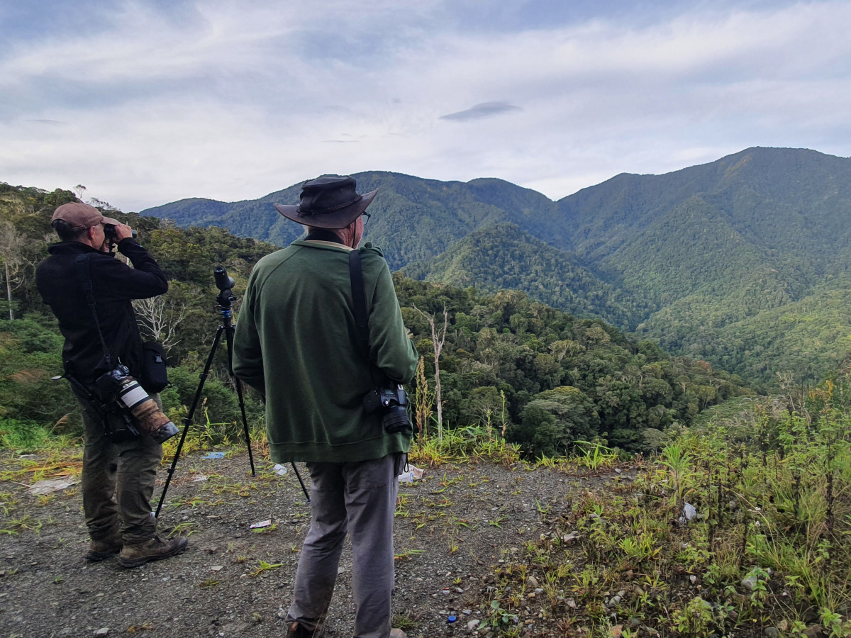 Vogelspotten in de Arfak Mountains, Oost-Indonesië - Undiscovered.nl