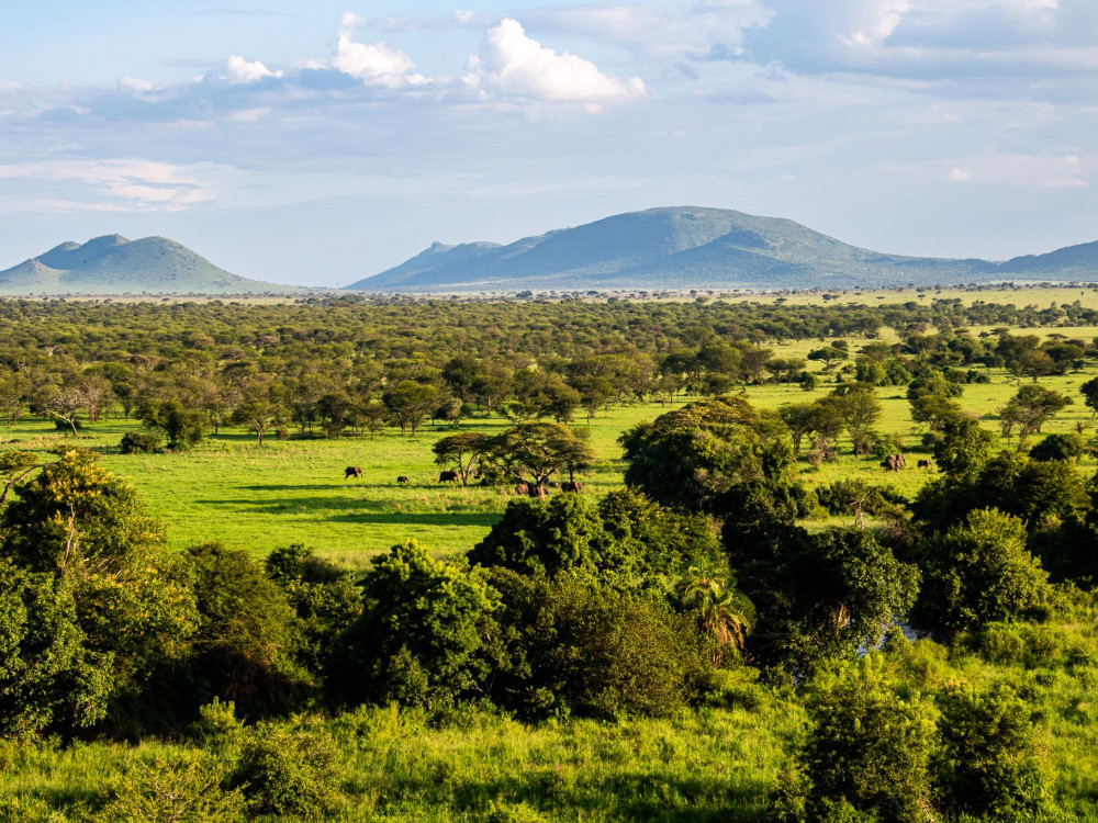Serengeti Tanzania - Undiscovered.nl