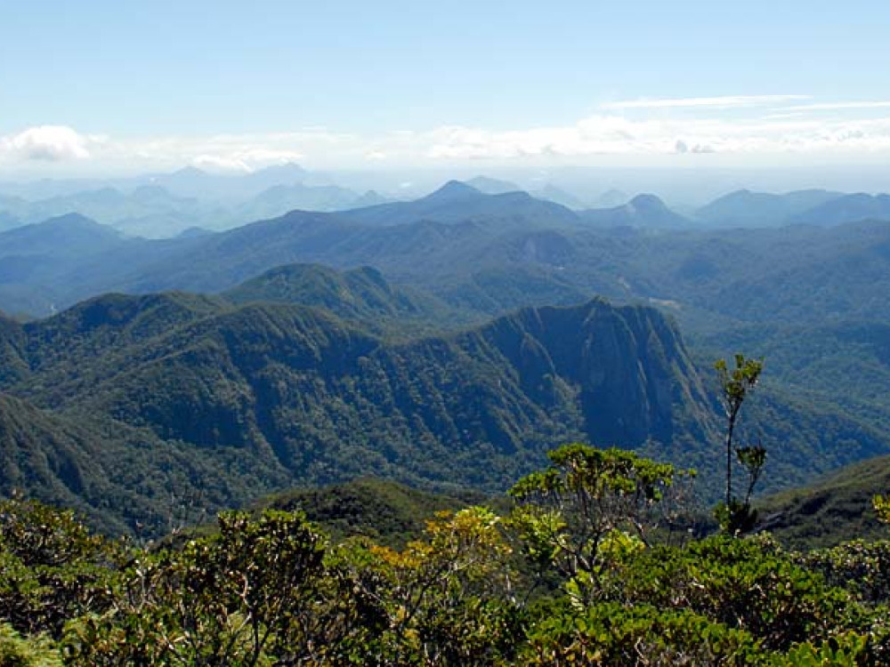 Marojejy National Park, Madagascar - Undiscovered.nl