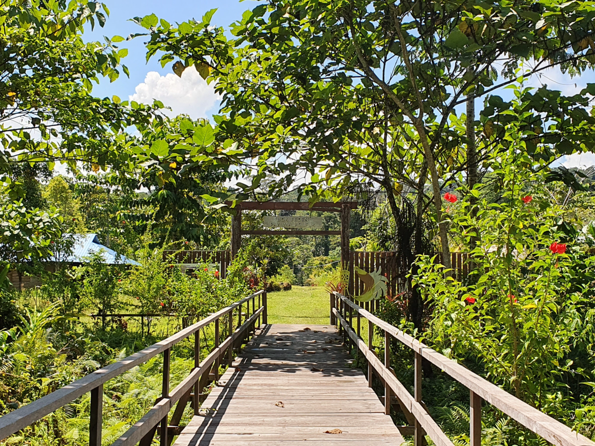 Malagufuk, West-Papoea - Undiscovered.nl