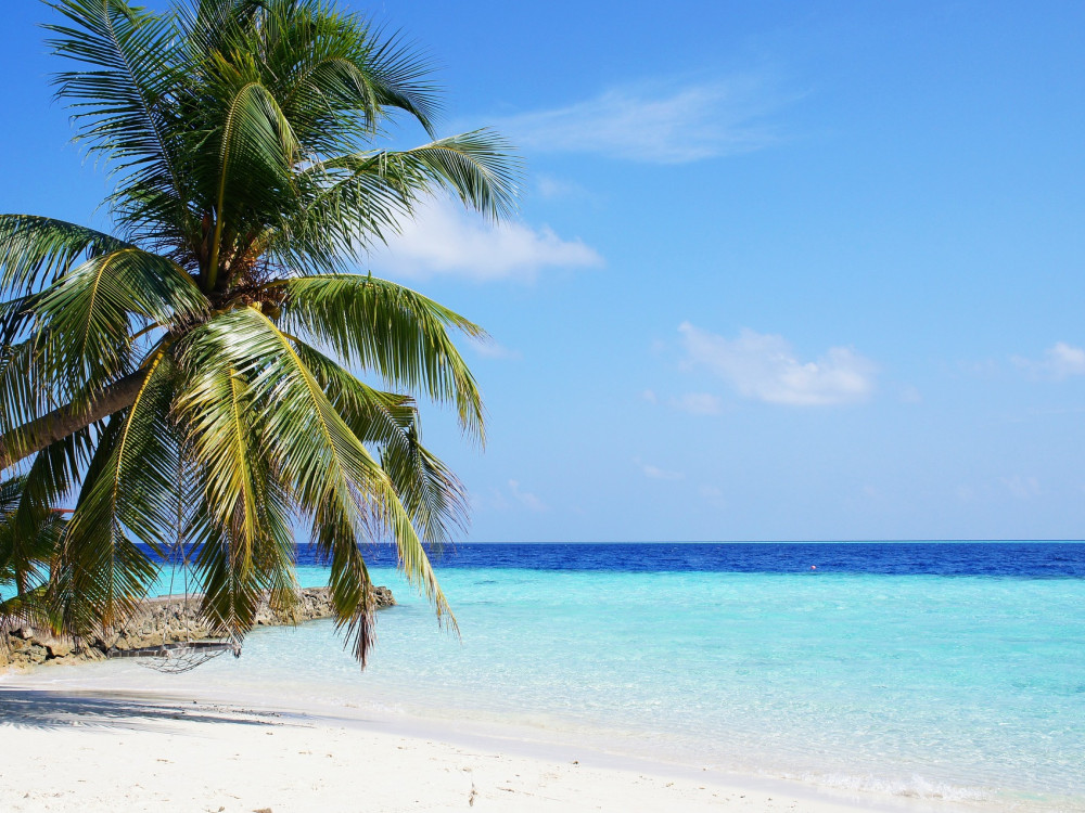 Strand, Malediven - Undiscovered.nl