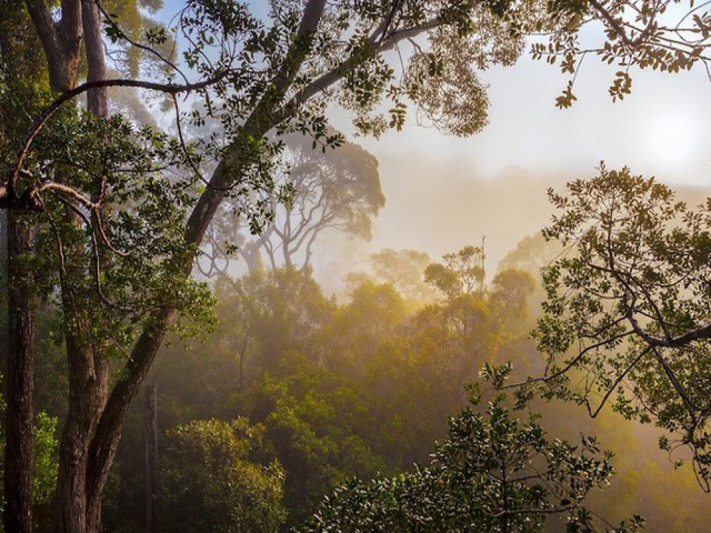Maliau Basin Borneo - Undiscovered.nl