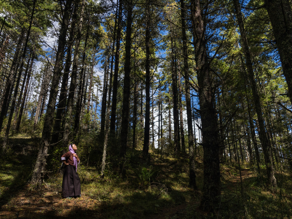 Druk Path Trekking Bhutan - Undiscovered.nl