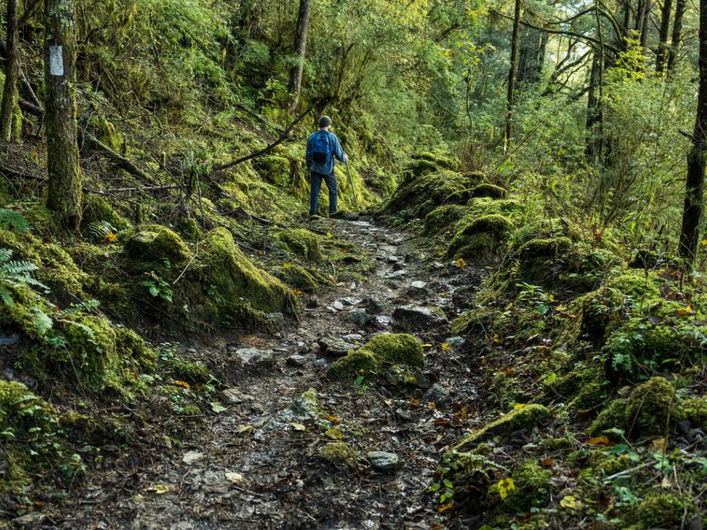 Druk Path Trekking Bhutan - Undiscovered.nl
