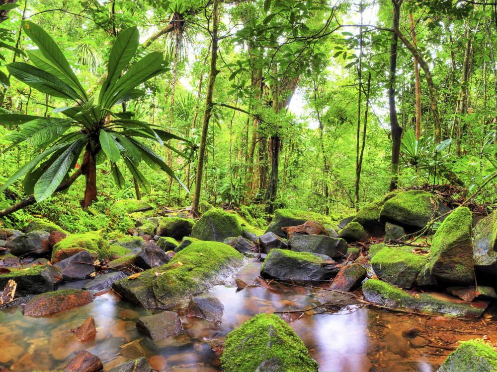 Natuurlandschap in Madagascar - Undiscovered.nl
